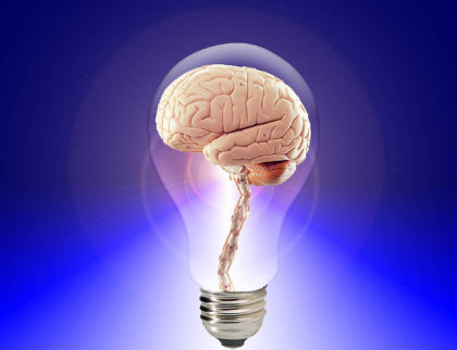A thoughtful stylistic brain in a lightbulb