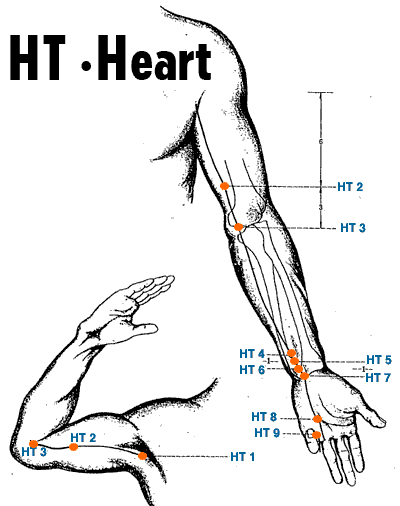 Heart meridian diagram