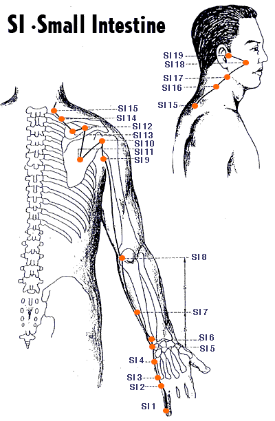 Small intestine meridian diagram